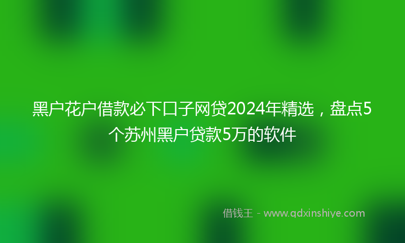 黑户花户借款必下口子网贷2024年精选，盘点5个苏州黑户贷款5万的软件