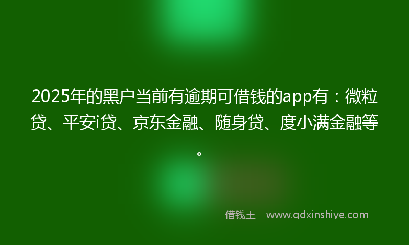 2025年的黑户当前有逾期可借钱的app有：微粒贷、平安i贷、京东金融、随身贷、度小满金融等。