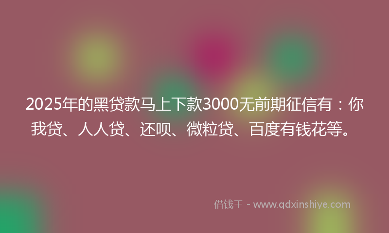2025年的黑贷款马上下款3000无前期征信有：你我贷、人人贷、还呗、微粒贷、百度有钱花等。