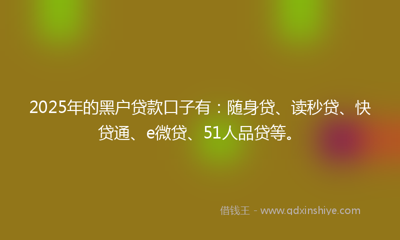 2025年的黑户贷款口子有：随身贷、读秒贷、快贷通、e微贷、51人品贷等。