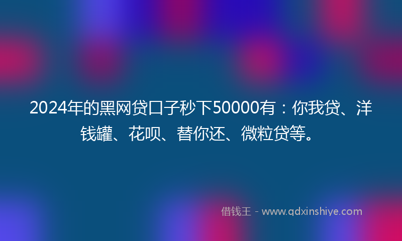 2024年的黑网贷口子秒下50000有：你我贷、洋钱罐、花呗、替你还、微粒贷等。
