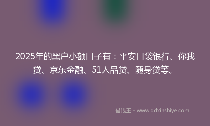 2025年的黑户小额口子有：平安口袋银行、你我贷、京东金融、51人品贷、随身贷等。