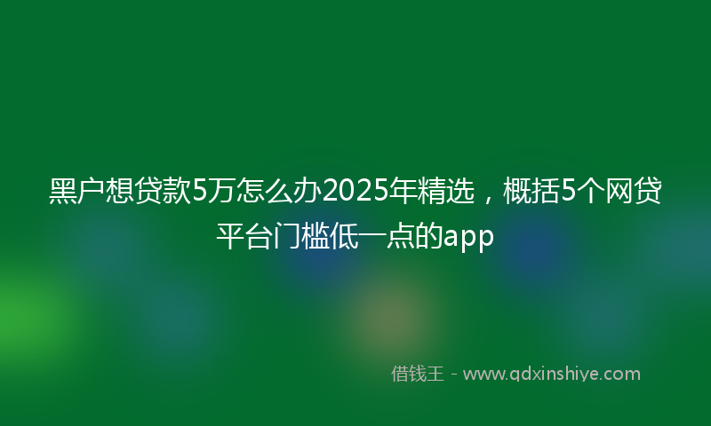 黑户想贷款5万怎么办2025年精选，概括5个网贷平台门槛低一点的app