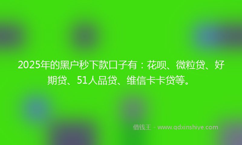2025年的黑户秒下款口子有：花呗、微粒贷、好期贷、51人品贷、维信卡卡贷等。
