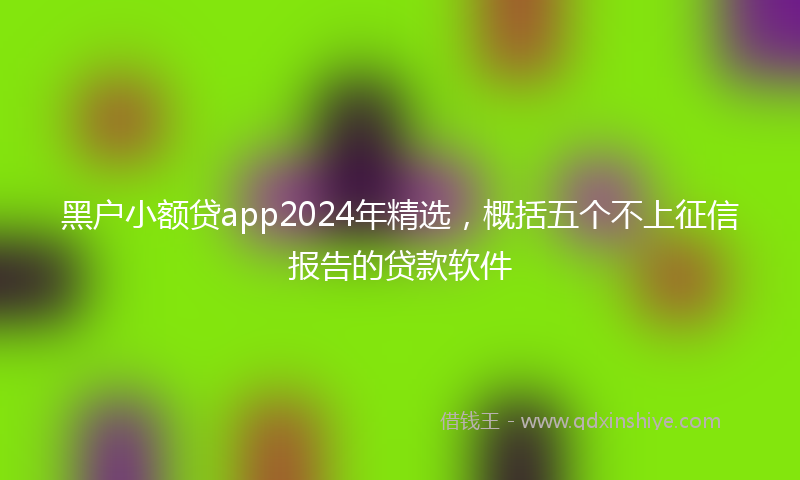 黑户小额贷app2024年精选，概括五个不上征信报告的贷款软件