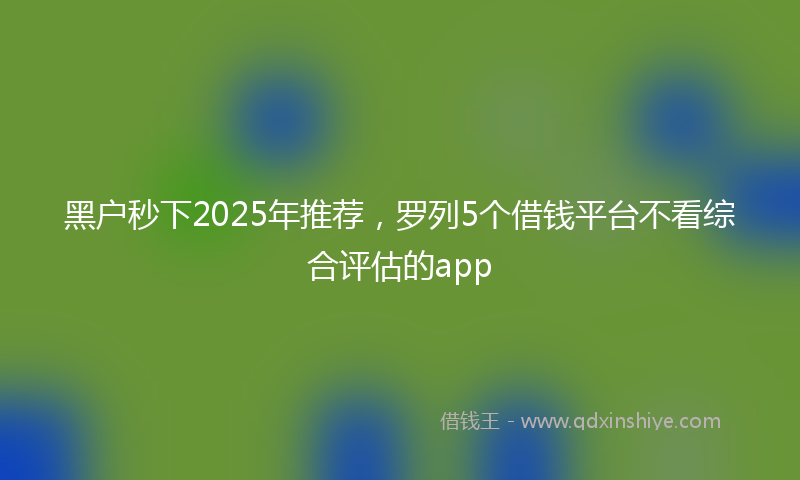 黑户秒下2025年推荐，罗列5个借钱平台不看综合评估的app