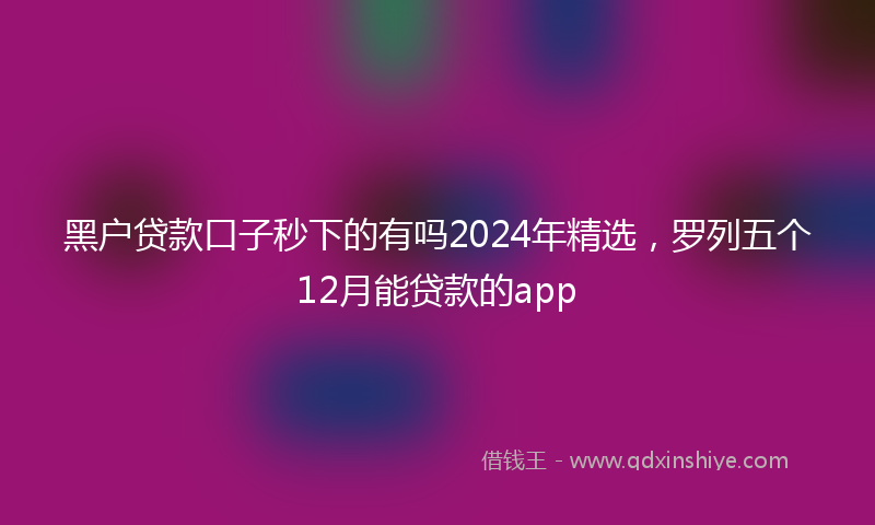 黑户贷款口子秒下的有吗2024年精选，罗列五个12月能贷款的app