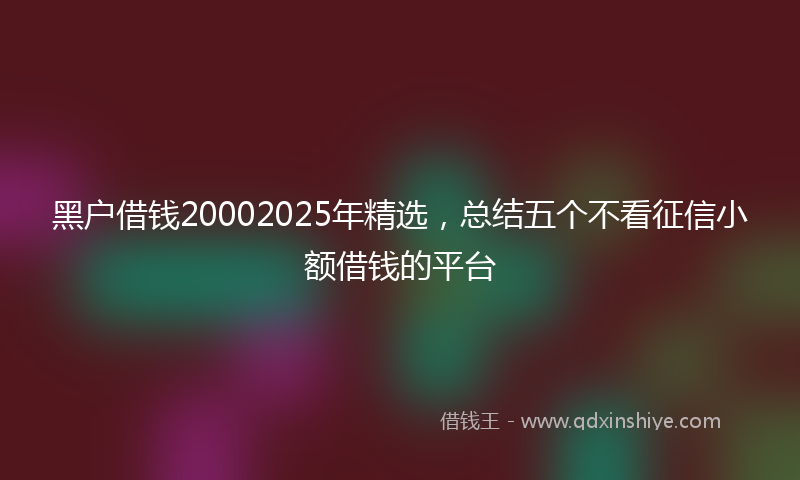 黑户借钱20002025年精选，总结五个不看征信小额借钱的平台