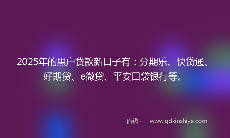2025年的黑户贷款新口子有：分期乐、快贷通、好期贷、e微贷、平安口袋银行等。