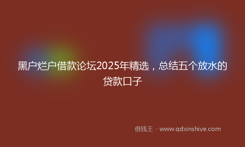 黑户烂户借款论坛2025年精选，总结五个放水的贷款口子