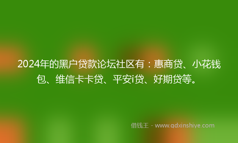 2024年的黑户贷款论坛社区有：惠商贷、小花钱包、维信卡卡贷、平安i贷、好期贷等。