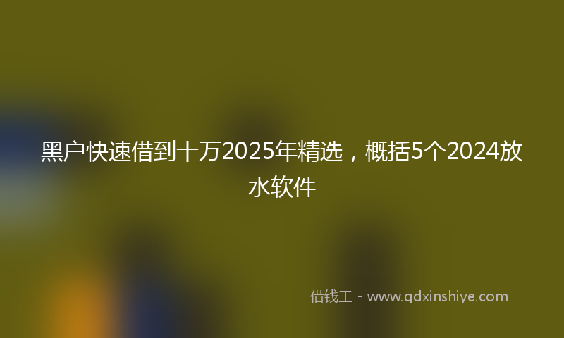 黑户快速借到十万2025年精选，概括5个2024放水软件