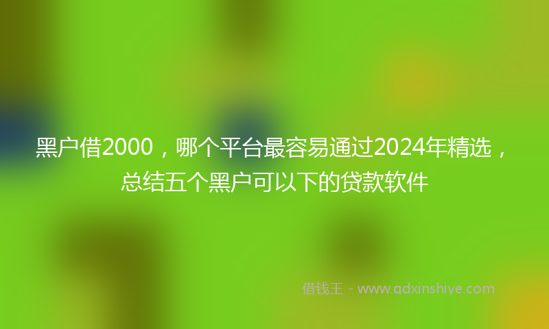 黑户借2000，哪个平台最容易通过2024年精选，总结五个黑户可以下的贷款软件