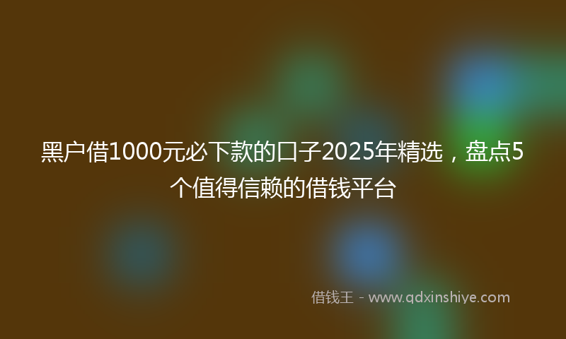 黑户借1000元必下款的口子2025年精选，盘点5个值得信赖的借钱平台