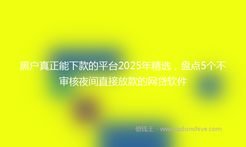 黑户真正能下款的平台2025年精选，盘点5个不审核夜间直接放款的网贷软件