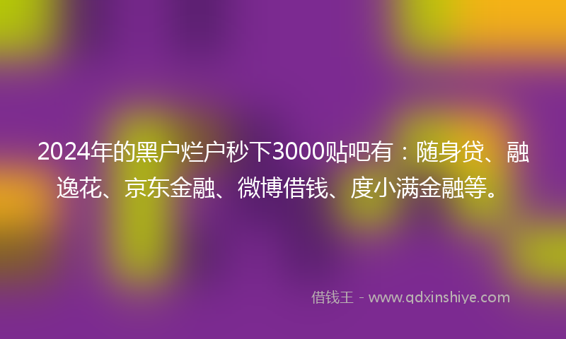 2024年的黑户烂户秒下3000贴吧有：随身贷、融逸花、京东金融、微博借钱、度小满金融等。