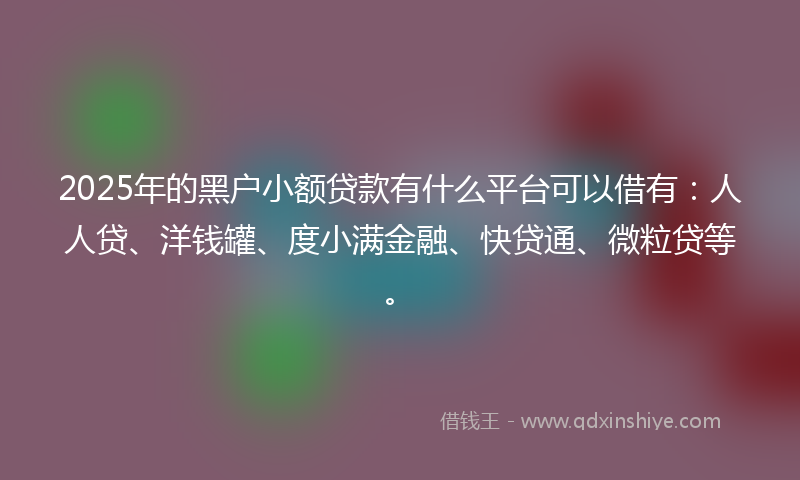 2025年的黑户小额贷款有什么平台可以借有：人人贷、洋钱罐、度小满金融、快贷通、微粒贷等。
