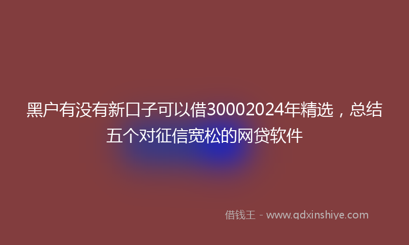 黑户有没有新口子可以借30002024年精选，总结五个对征信宽松的网贷软件