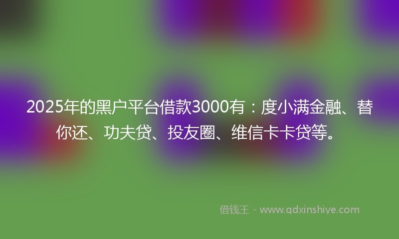 2025年的黑户平台借款3000有：度小满金融、替你还、功夫贷、投友圈、维信卡卡贷等。