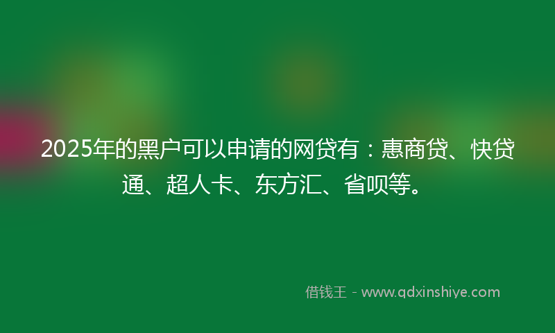 2025年的黑户可以申请的网贷有：惠商贷、快贷通、超人卡、东方汇、省呗等。