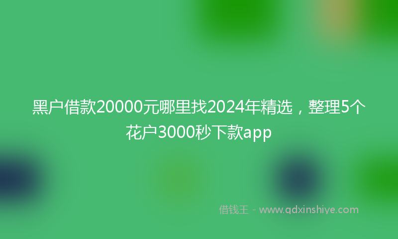 黑户借款20000元哪里找2024年精选，整理5个花户3000秒下款app