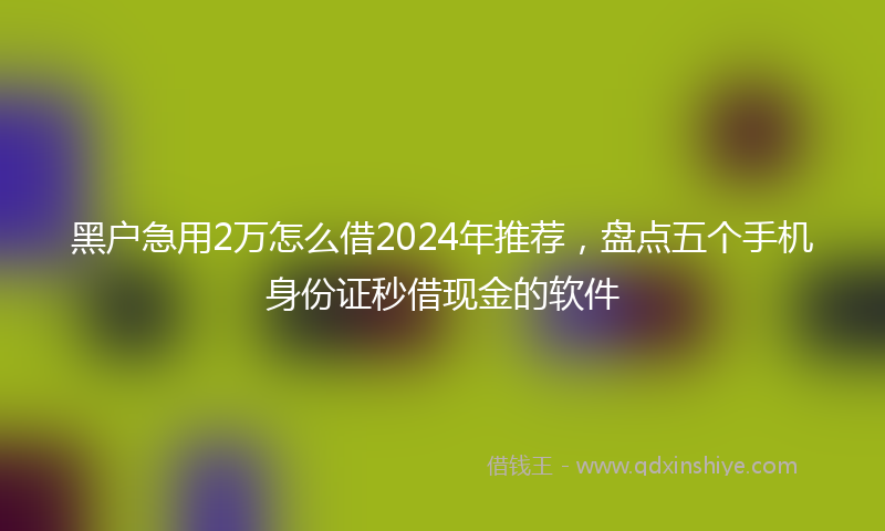 黑户急用2万怎么借2024年推荐，盘点五个手机身份证秒借现金的软件