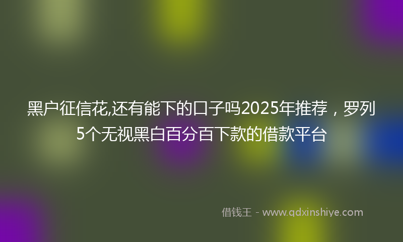 黑户征信花,还有能下的口子吗2025年推荐，罗列5个无视黑白百分百下款的借款平台