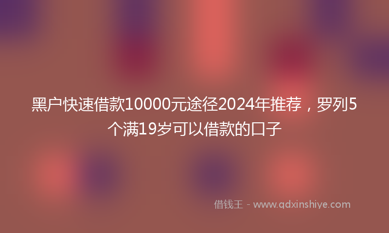 黑户快速借款10000元途径2024年推荐，罗列5个满19岁可以借款的口子
