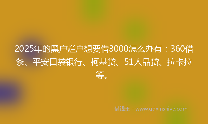2025年的黑户烂户想要借3000怎么办有：360借条、平安口袋银行、柯基贷、51人品贷、拉卡拉等。