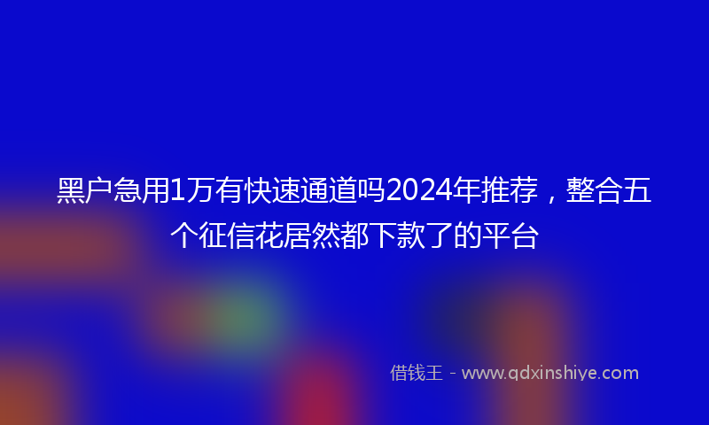 黑户急用1万有快速通道吗2024年推荐，整合五个征信花居然都下款了的平台