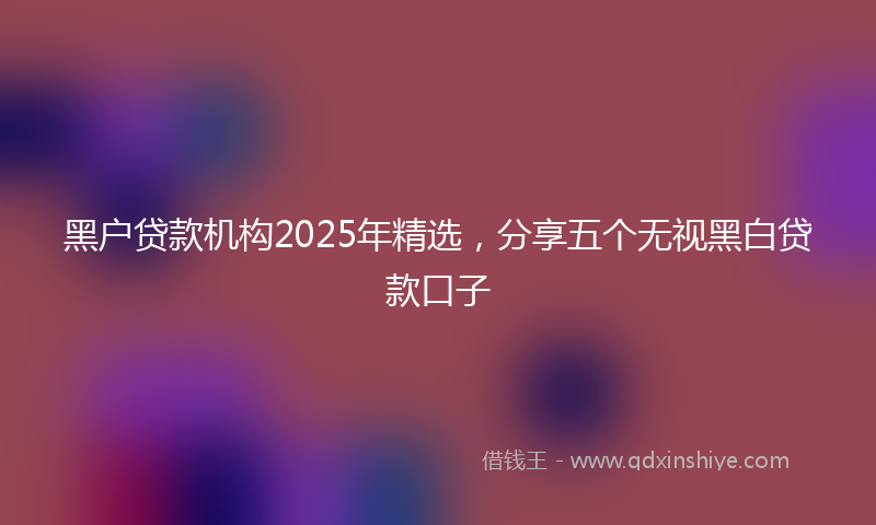 黑户贷款机构2025年精选，分享五个无视黑白贷款口子