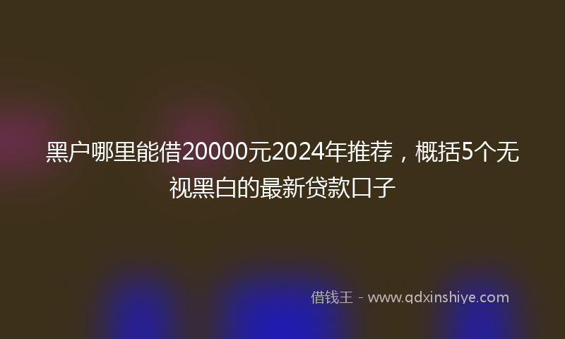 黑户哪里能借20000元2024年推荐，概括5个无视黑白的最新贷款口子
