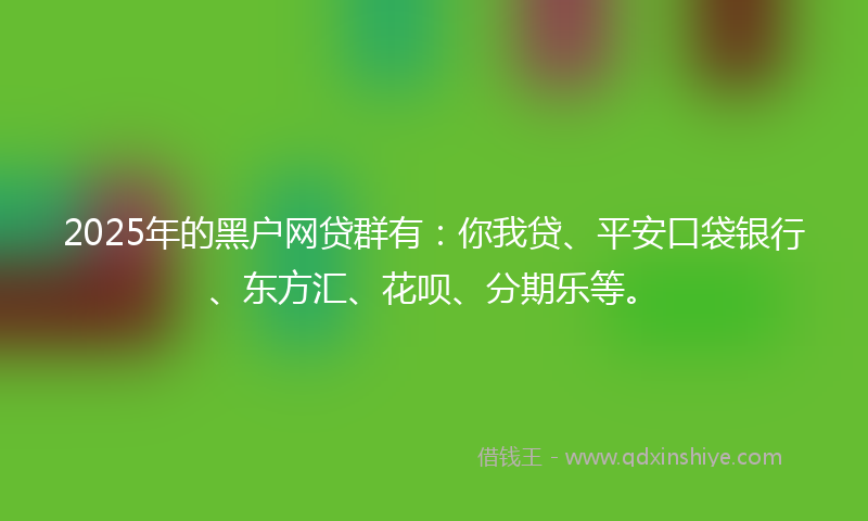 2025年的黑户网贷群有：你我贷、平安口袋银行、东方汇、花呗、分期乐等。