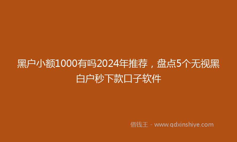 黑户小额1000有吗2024年推荐，盘点5个无视黑白户秒下款口子软件