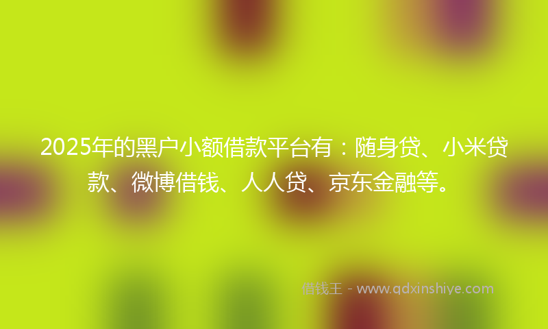 2025年的黑户小额借款平台有：随身贷、小米贷款、微博借钱、人人贷、京东金融等。