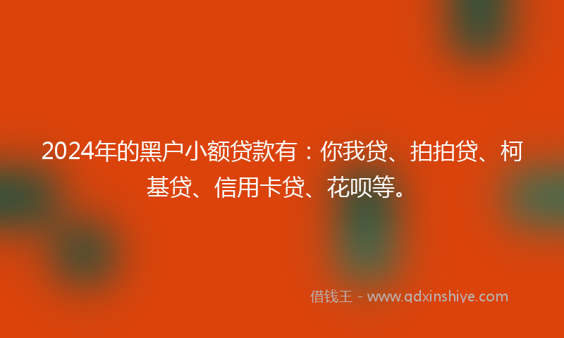 2024年的黑户小额贷款有：你我贷、拍拍贷、柯基贷、信用卡贷、花呗等。