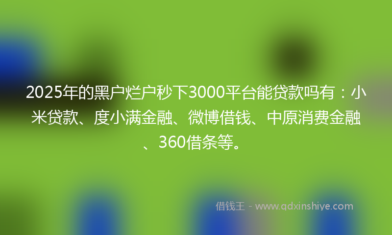 2025年的黑户烂户秒下3000平台能贷款吗有：小米贷款、度小满金融、微博借钱、中原消费金融、360借条等。