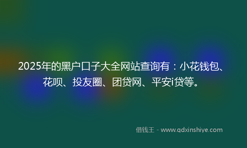 2025年的黑户口子大全网站查询有：小花钱包、花呗、投友圈、团贷网、平安i贷等。