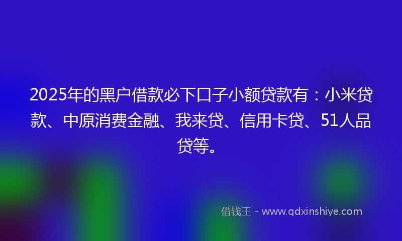 2025年的黑户借款必下口子小额贷款有：小米贷款、中原消费金融、我来贷、信用卡贷、51人品贷等。