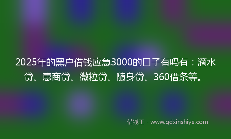 2025年的黑户借钱应急3000的口子有吗有：滴水贷、惠商贷、微粒贷、随身贷、360借条等。