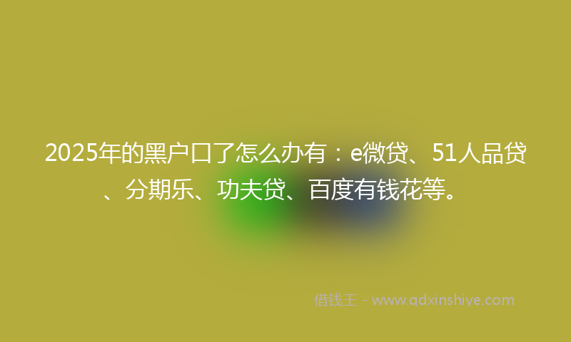 2025年的黑户口了怎么办有：e微贷、51人品贷、分期乐、功夫贷、百度有钱花等。