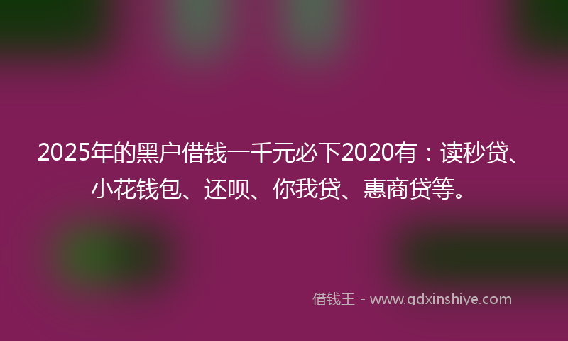 2025年的黑户借钱一千元必下2020有：读秒贷、小花钱包、还呗、你我贷、惠商贷等。