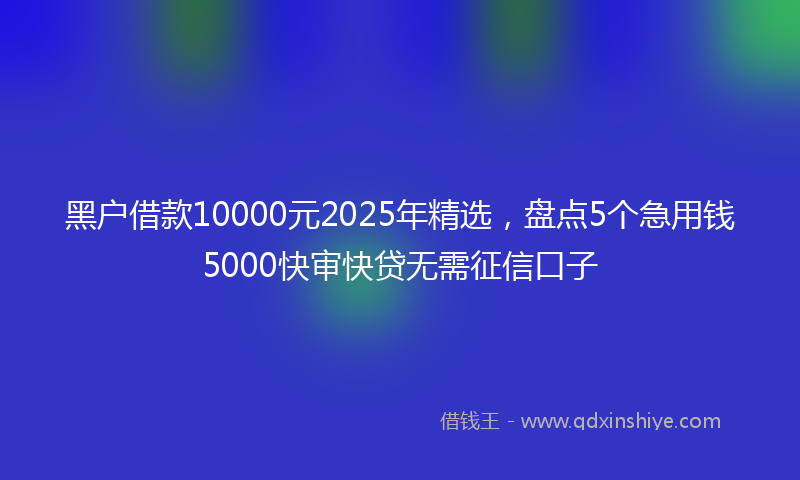 黑户借款10000元2025年精选，盘点5个急用钱5000快审快贷无需征信口子