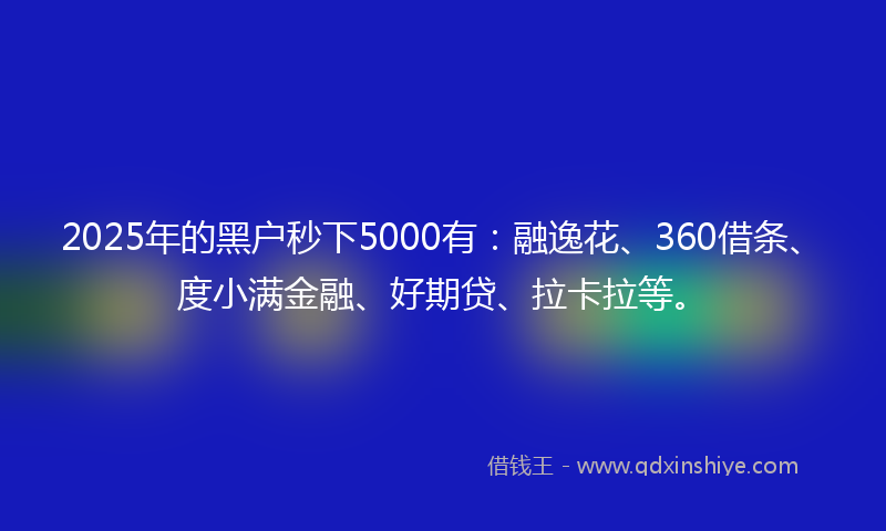 2025年的黑户秒下5000有：融逸花、360借条、度小满金融、好期贷、拉卡拉等。