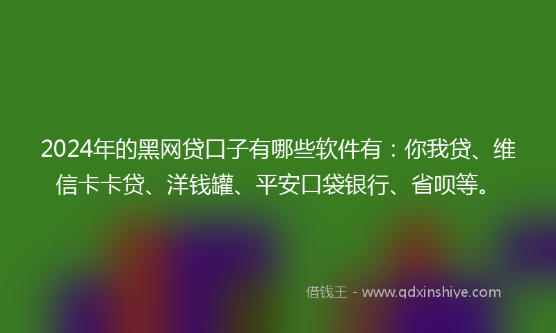 2024年的黑网贷口子有哪些软件有：你我贷、维信卡卡贷、洋钱罐、平安口袋银行、省呗等。