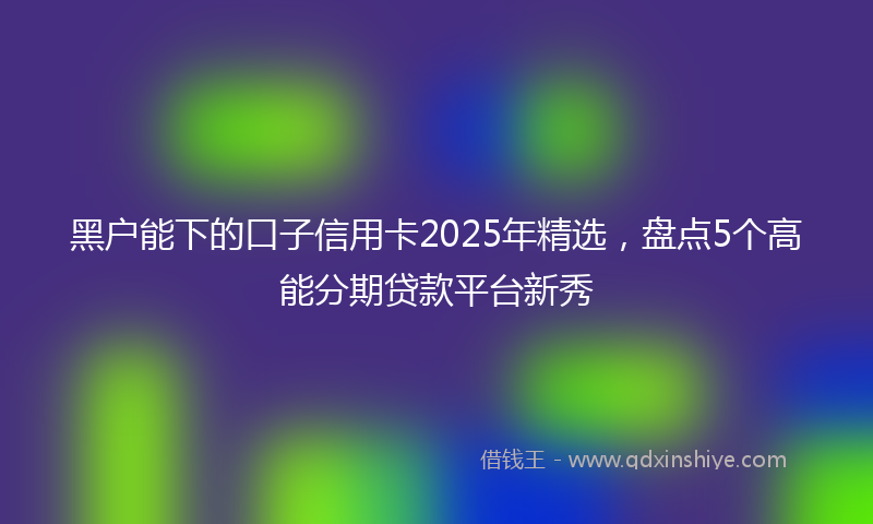 黑户能下的口子信用卡2025年精选，盘点5个高能分期贷款平台新秀
