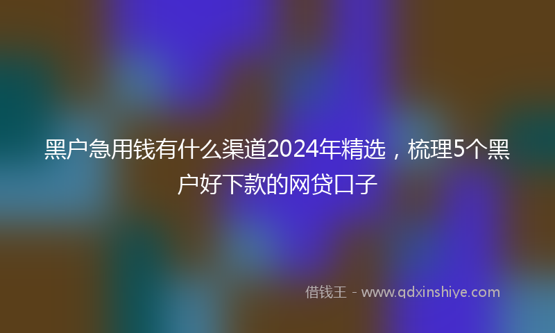 黑户急用钱有什么渠道2024年精选，梳理5个黑户好下款的网贷口子