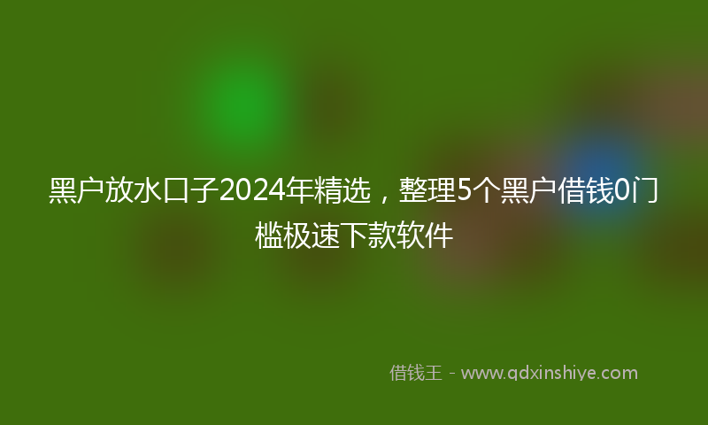 黑户放水口子2024年精选，整理5个黑户借钱0门槛极速下款软件