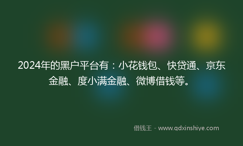 2024年的黑户平台有：小花钱包、快贷通、京东金融、度小满金融、微博借钱等。