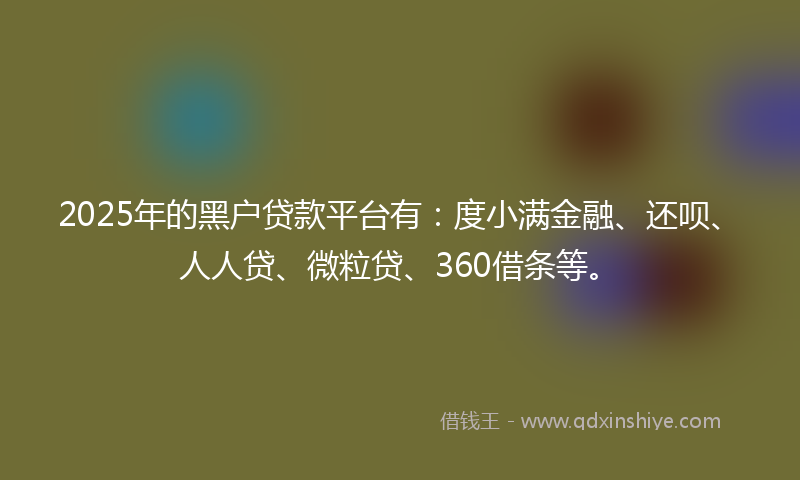 2025年的黑户贷款平台有：度小满金融、还呗、人人贷、微粒贷、360借条等。